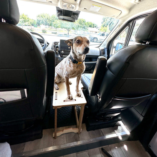 Mercedes Sprinter Dog Platform - Out There Vans