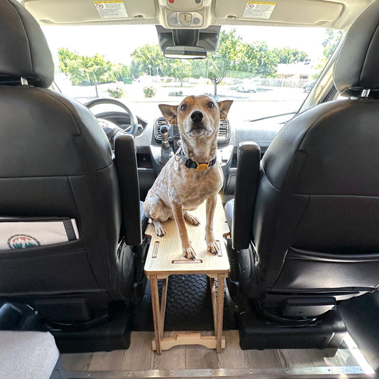 RAM ProMaster Dog Platform - Out There Vans